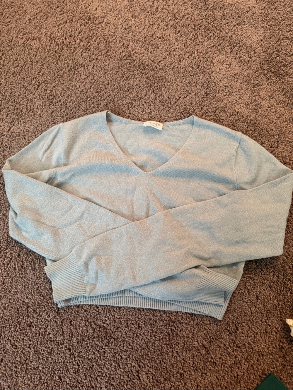 Brandy Melville Light Blue Crewneck Sweater